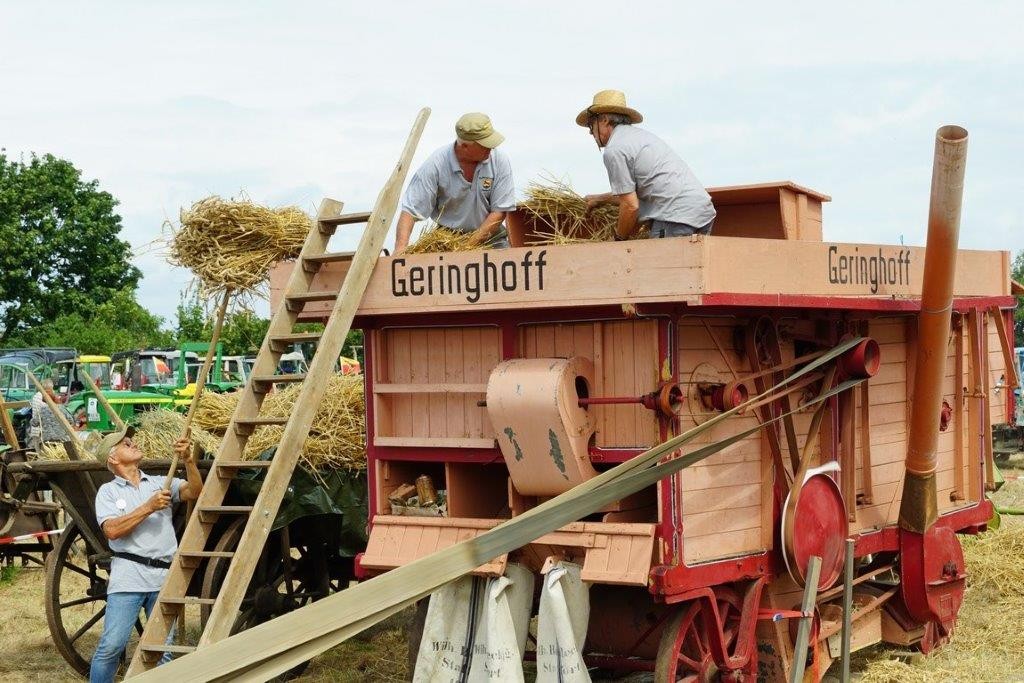 Bulldogfreunde Stutensee Weingarten